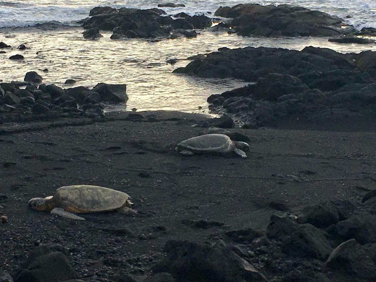 Mauna Kai'Iki Pahala Kültér fotó